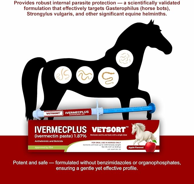 Horse Gel Paste 1.87% – 6 - Pack, 6.08g Each, Accurate Feeding for Horses up to 1,250 lbs, Boosts Growth & Energy