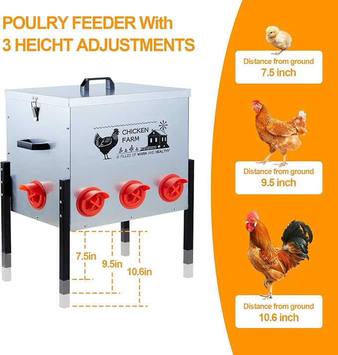 Automatic Chicken Feeder Box 50 lbs, 8 Feeding Ports, No Waste Poultry Feeder with Locking Lid and Adjustable Legs for Chickens, Ducks, Geese Galvanized Metal (50 Lbs-8 Ports)