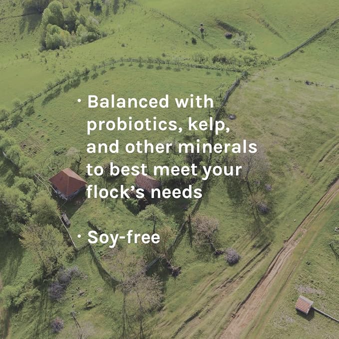 New Country Organics | Sheep Feed for Lactating Ewes and General Maintenance | Soy-Free | 13% Protein | Certified Organic and Non-GMO | 40 lbs Bag