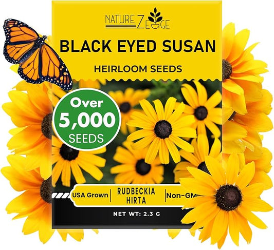 Black Eyed Susan Seeds for Planting, 5000 Seeds, Giving You Beautiful Black Eyed Susan Flowers, Non-GMO, Heirloom Seed Varieties