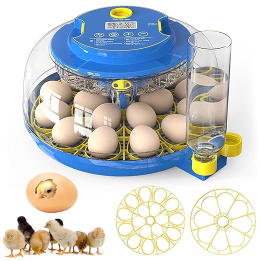 Incubators for Hatching Eggs, 18 Egg Incubator with Automatic Egg Turning and Humidity Control, 360° View Incubadora De Huevos De Gallina, Egg Candler, Incubator for Chicken Eggs, Ducks, Goose, Quail