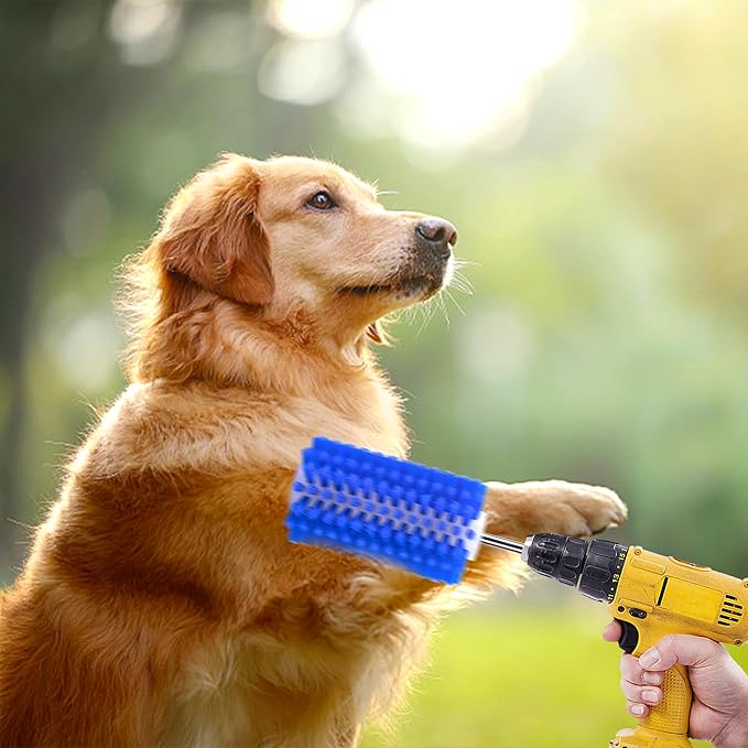 EBaokuup 2 Pcs Livestock Mini Roto Drill Brush Attachment-0.2 Inch Drill Shank Cattle Fur Brush-Cattle Scratcher Roto Brush for Goat Sheep Cattle Horse Pig Grooming