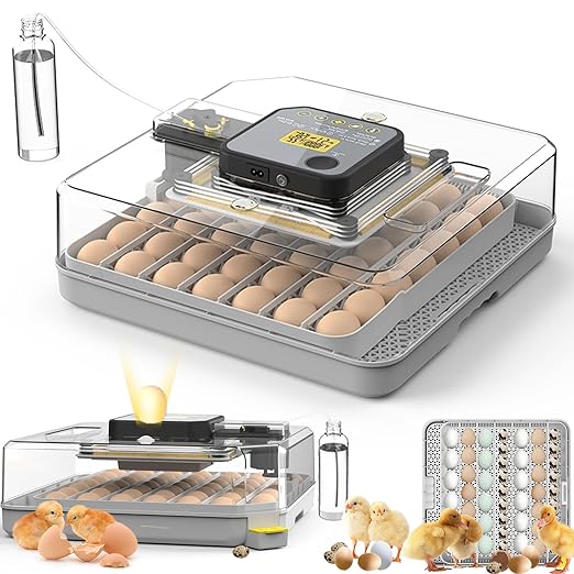 Incubators for Hatching Eggs 48 Egg Incubator with Automatic Turning and Humidity Control for Chicken Duck, Egg Candler for Chicken Eggs Goose Incubator Duck Quail Chick for Hatching Poultry (Grey)