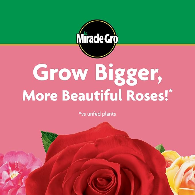 Miracle-Gro Water Soluble Rose Plant Food, 1.5 lb