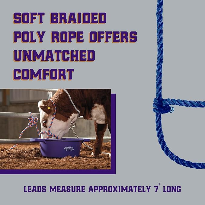 Weaver Livestock Braided Poly Rope Cattle Halter, Adjustable, Modern Style Cow Calf Halter, Livestock Handling Equipment for Showing, Blue