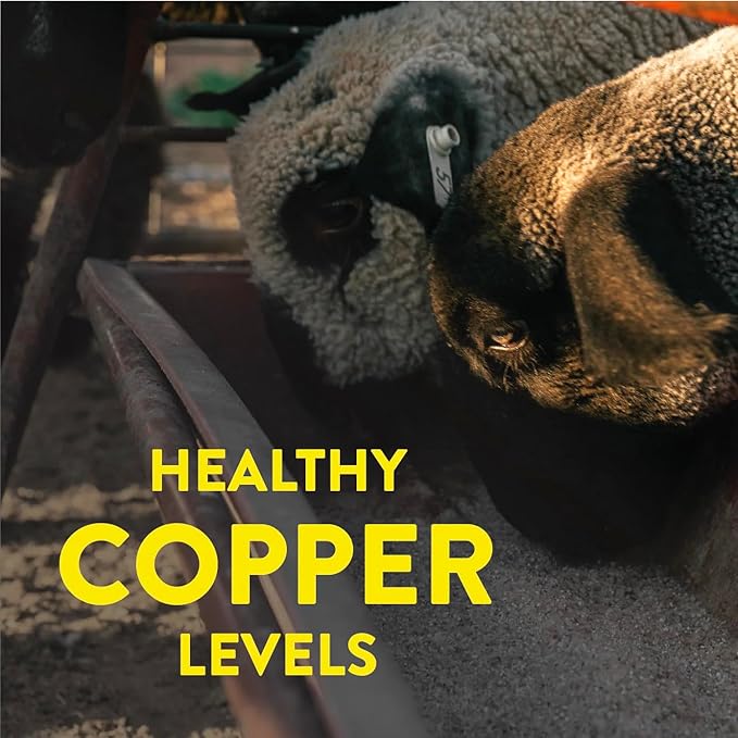 REDMOND Sheep Mineral 25 lb Bag