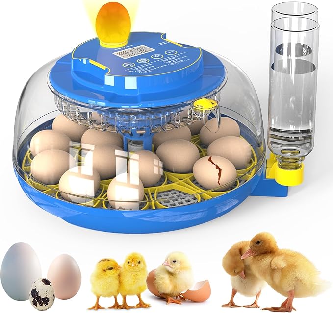 Egg Incubator for Hatching Chicks, 18 Eggs Automatic Egg Turner Multifunctional Smart Incubator 360° Clear Window with Temperature & Humidity Control, Egg Candler for Poultry Chickens Ducks Quails