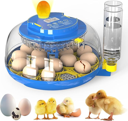 Egg Incubator for Hatching Chicks, 18 Eggs Automatic Egg Turner Multifunctional Smart Incubator 360° Clear Window with Temperature & Humidity Control, Egg Candler for Poultry Chickens Ducks Quails
