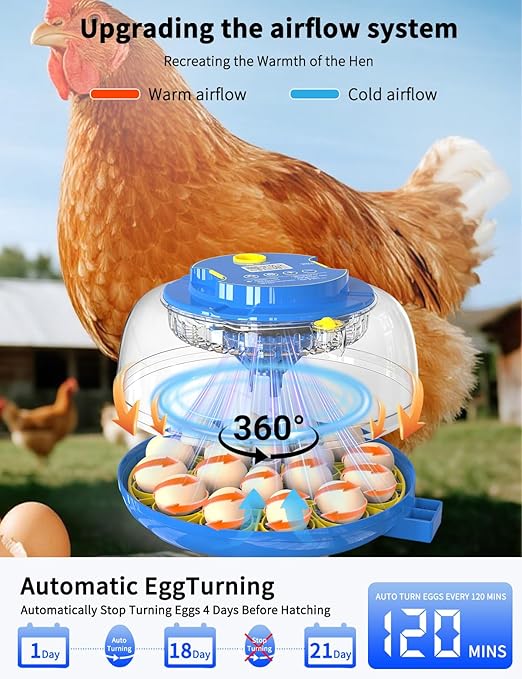 18-Egg 360° Panoramic Egg Incubator with Automatic Egg Turning and Humidity Control- Perfect for Hatching Chickens, Ducks, Quail & Other Birds (Blue)