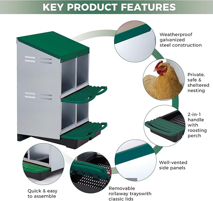 GarveeLife Chicken Nesting Box, 4 Compartments Laying Nest Boxes for Laying Eggs Chicken Brooder Box Nest Box with Perch 2x2 Hole Green