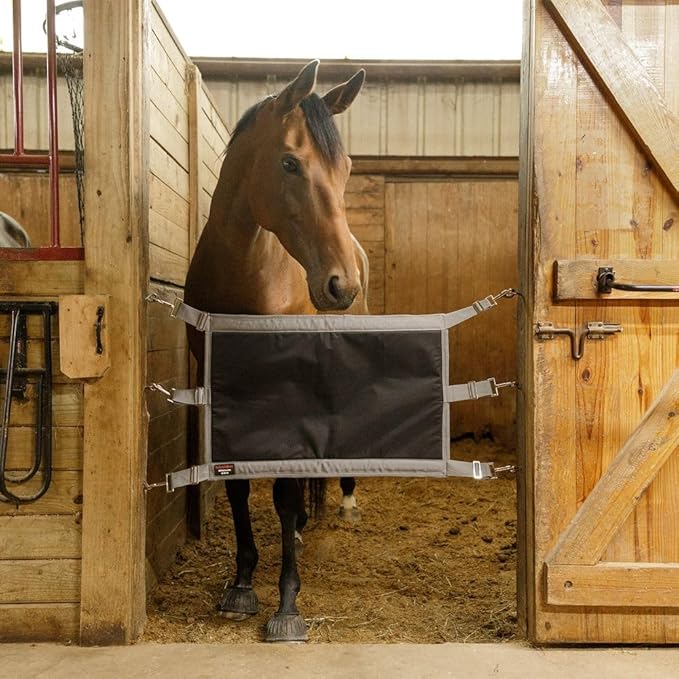 Schneiders Padded Stall Guard | Extra Comfort & Ventilation for Horses | Adjustable Fit for 45"-51" Stalls | 600D Durable Fabric | Heavy-Duty Hardware for Safety | Color Black
