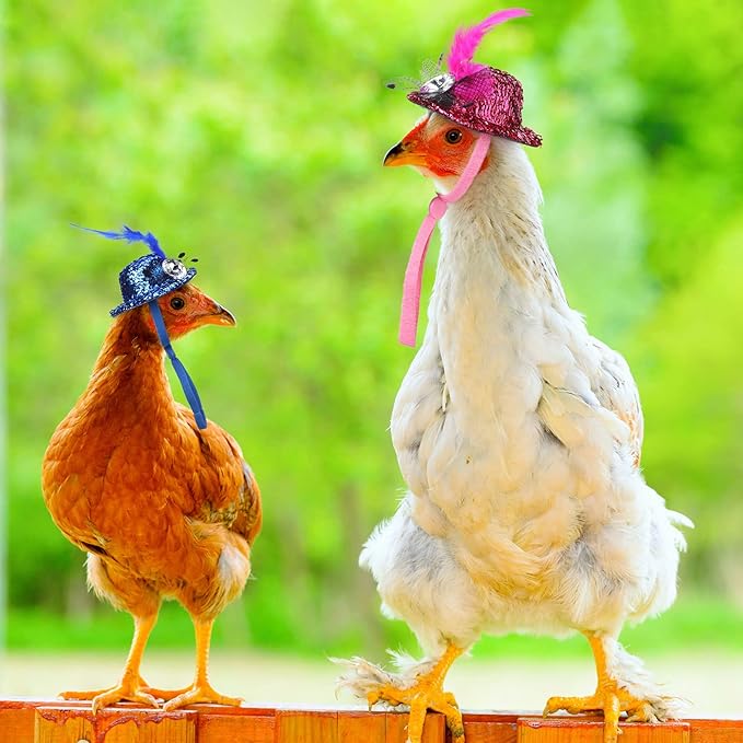 9 Pcs Funny Chicken Accessories Set - Harness, Leash & Hats for Hens, Ducks, Geese & Parrots - Adjustable, Training Walking Supplies