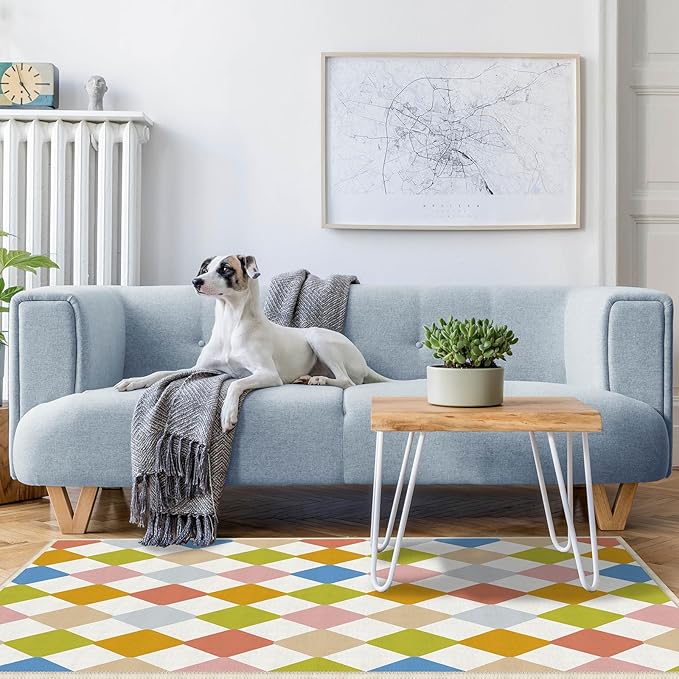 Checkered Washable 3x5 Modern Geometry Colorful Area Rugs Non Slip Low Pile Indoor Floor Small Carpet for Living Room Children's Room Bedroom Dinning Room