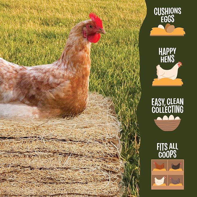 MagJo Premium Aspen 10 Pads Excelsior Nesting Liners (10 Pads), chicken bedding for nesting box, nesting pads box liners, chicken bedding for coop, chick bedding, USA Grown & Sustainably Harvested