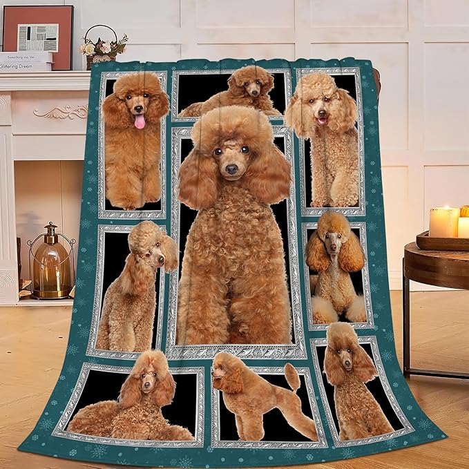Poodle Blanket Poodle Puppy Decor Throw Blanket Super Soft Flannel Lightweight Fluffy Plush Cozy Fuzzy Fleece Stuff Blanket Gifts for Dog Lovers Woman Girls Boys Adults Man for Bedding Sofa 60"X80"