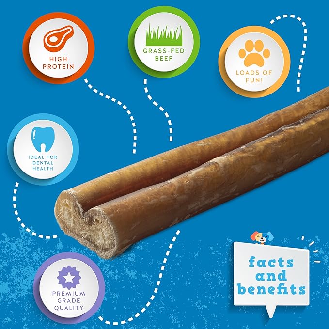 Jack&Pup 6" Bully Sticks for Dogs | Premium Odor Free Bully Sticks for Large Dogs | All Natural Beef Pizzle Sticks (6 Inch Standard, 12 Pack)