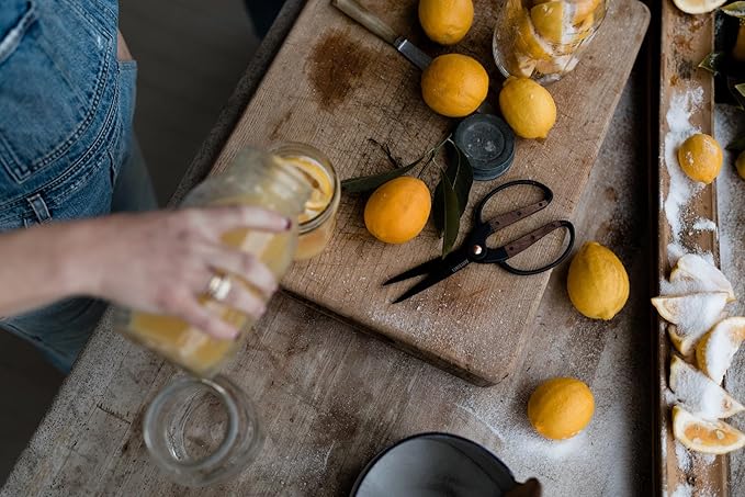 Barebones Garden Scissors - Walnut Scissors - Garden Supplies and Indoor Plant Accessories - Plant Shears with Wide Handles - Comfortable Fit Hand Pruners (Large)