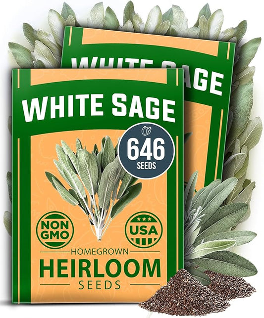 HOME GROWN White Sage Seeds 646 Pack Heirloom Seeds - Grow Aromatic Sage Plants for Your Herb Seeds Garden with Sage for Planting Outdoor or Indoor (Salvia apiana)