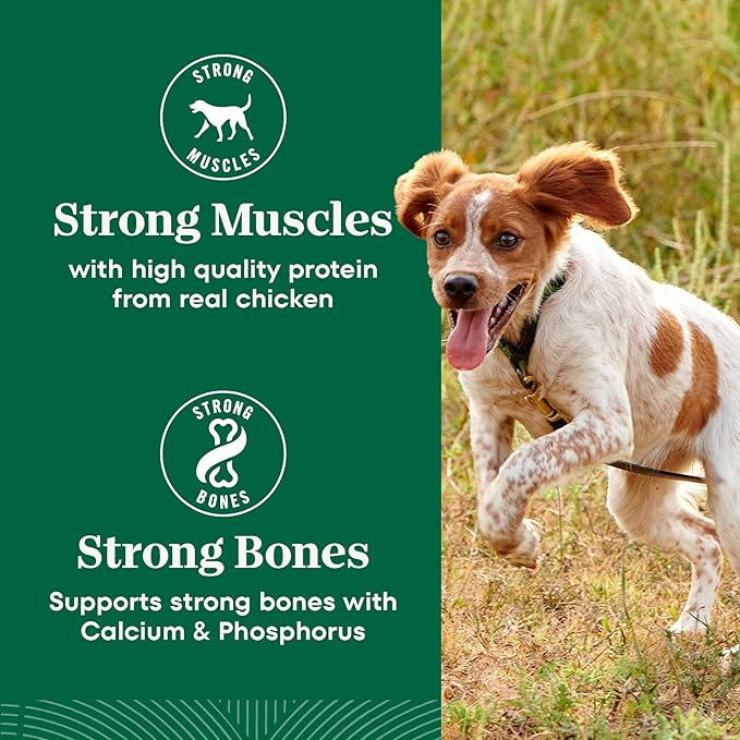 Nutro Natural Choice Small Breed Senior Dog Food, Chicken & Brown Rice Recipe, 5 lb. Bag