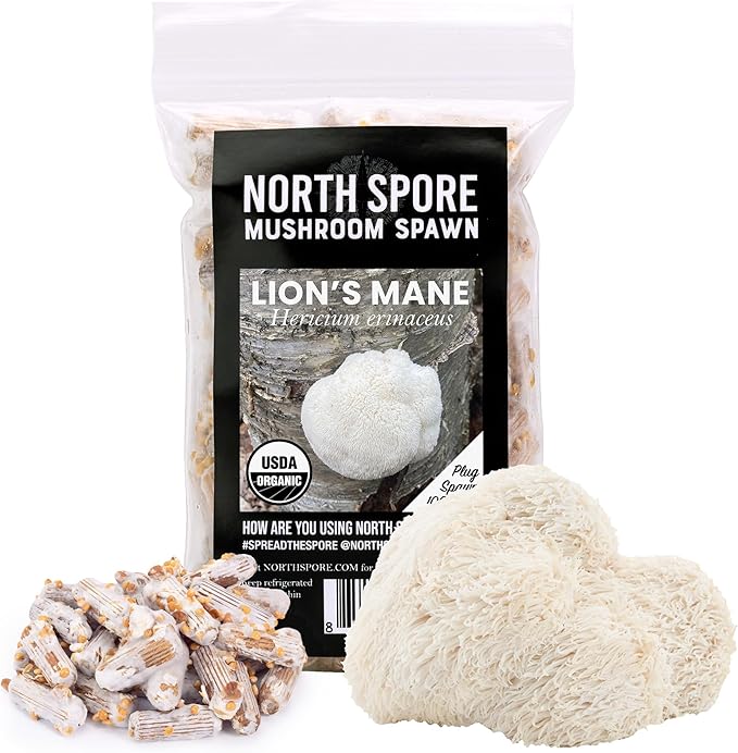 North Spore Organic Lion's Mane (100 ct) Mushroom Plugs for Logs | Premium Quality Mushroom Plug Spawn | Handmade in Maine, USA | Grow Gourmet Mushrooms Outdoors on Logs
