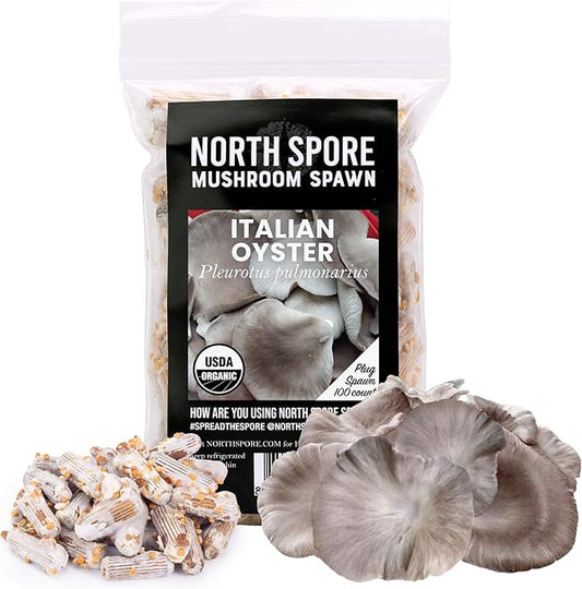 North Spore Organic Italian Oyster (100 ct) Mushroom Plugs for Logs | Premium Quality Mushroom Plug Spawn | Handmade in Maine, USA | Grow Gourmet Mushrooms Outdoors on Logs