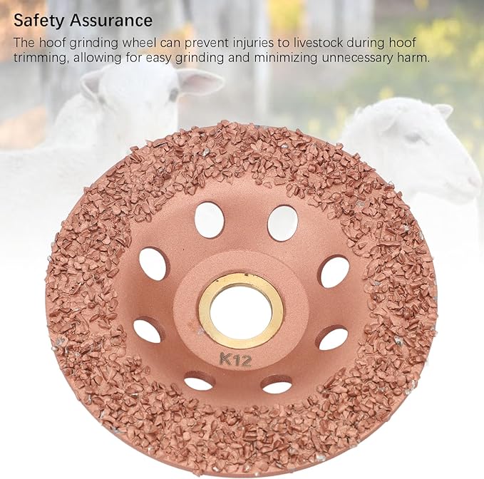 Horse Hoof Trimming Disc, Livestock Hoof Trimming Grinding Wheel, Ti Plated Electric Hoof Repair Plate for Horses Goats Cow