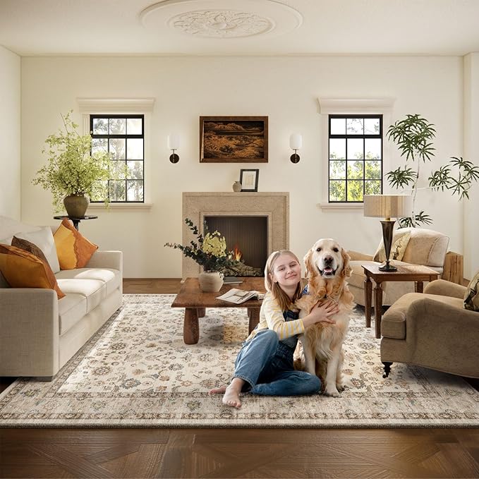 Washable Area Rugs for Living Room: 6x9 Bedroom Rug Boho Vintage Area Rug Stain Resistant Non Slip Low Pile Lightweight Soft Carpets for Dining Room Kitchen Nursery Kids Room Playroom Home Office