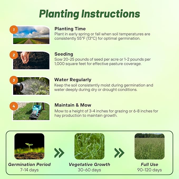 Outsidepride Grazer Orchard Pasture Grass Seed - 50 Lbs. Perennial, Drought & Shade Tolerant, Winter Hardy Fescue Seed for Hay, Grazing, Silage, Greenchop, Goat Feed, & Lawn Use