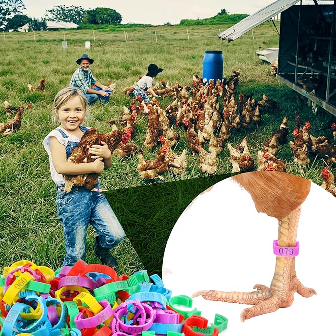 100 Pcs Adjustable Chicken Leg Rings, Multicolor Numbered Chicken Identification Leg Bands, Durable Poultry Leg Bands for Chickens Turkey Goose Ducks