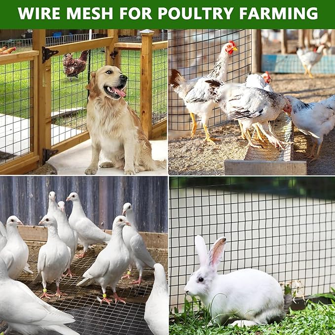 Hardware Cloth, 48'' x 100' 1/2Inch Galvanized Wire Mesh Roll, 19 Gauge Chicken Wire Fencing Roll, Garden Fence, Welded Fence with Cutting Plier & Gloves