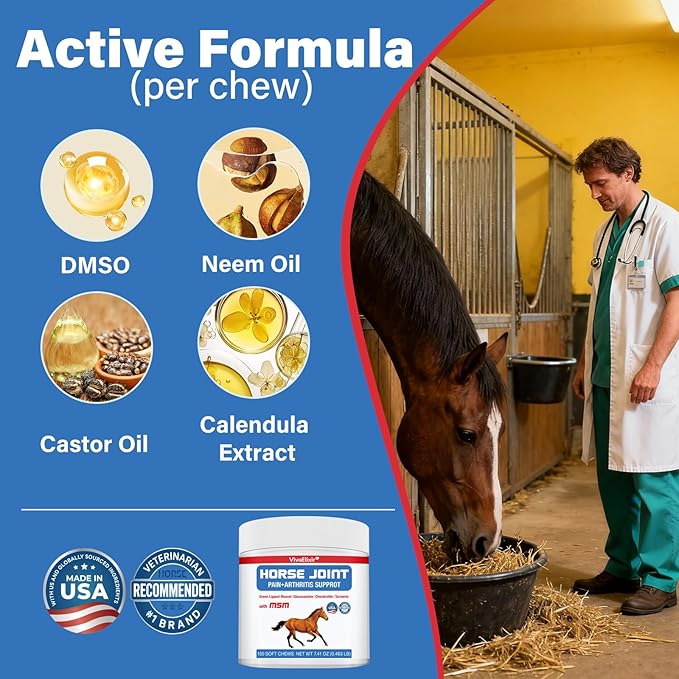 Joint Equine Supplement - Support for Joint Integrity and Inflammatory Response in Horses - Green-Lipped Mussel, MSM, Glucosamine 120 chew