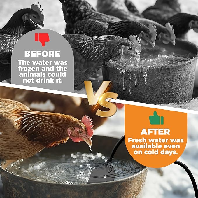 Chicken Waterer Heater, 250W Submersible Poultry Waterer Heater Bird Bath Heater, Thermostatic Control Chicken Waterer Deicer Ice Melter for Bird Duck Goose Cow to Drink Warm Water