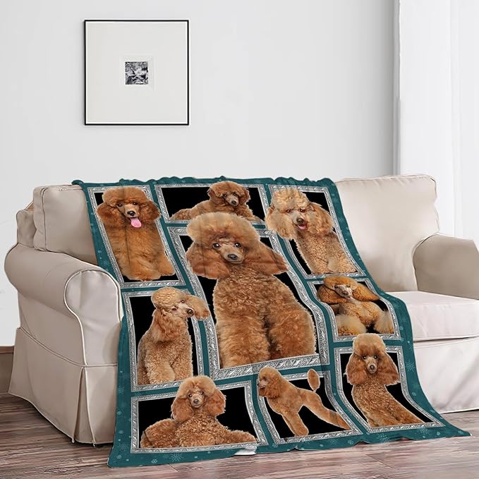 Poodle Blanket Poodle Puppy Decor Throw Blanket Super Soft Flannel Lightweight Fluffy Plush Cozy Fuzzy Fleece Stuff Blanket Gifts for Dog Lovers Woman Girls Boys Adults Man for Bedding Sofa 60"X80"