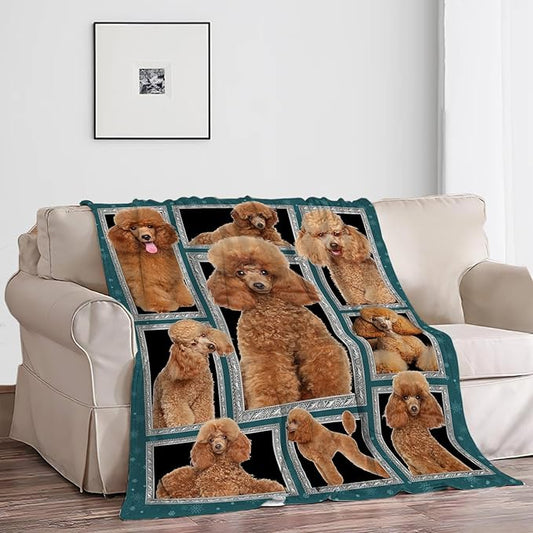 Poodle Blanket Poodle Puppy Decor Throw Blanket Super Soft Flannel Lightweight Fluffy Plush Cozy Fuzzy Fleece Stuff Blanket Gifts for Dog Lovers Woman Girls Boys Adults Man for Bedding Sofa 60"X80"