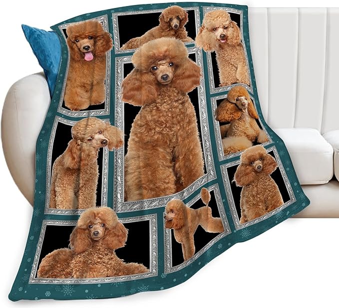 Poodle Blanket Poodle Puppy Decor Throw Blanket Super Soft Flannel Lightweight Fluffy Plush Cozy Fuzzy Fleece Stuff Blanket Gifts for Dog Lovers Woman Girls Boys Adults Man for Bedding Sofa 40"X50"