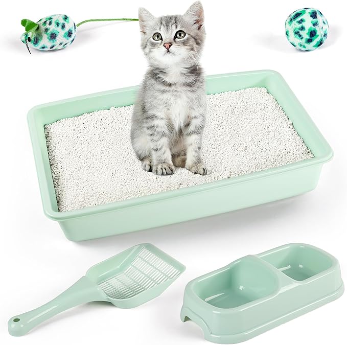 Pawise Cat Starter Kit Includes 4PCS Kitty Supplies, Great for Small Kitties, 14.5x10.5 Inch (Green)