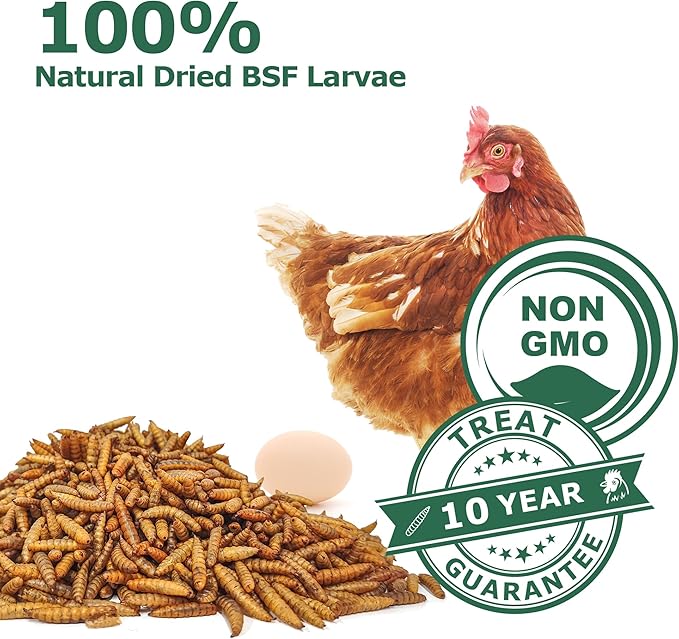 Dried Black Soldier Fly Larvae for Chickens - Non-GMO Poultry Feed Supplement, 85X More Calcium Than Mealworms,High-Protein Treats for Chickens, Hens, Ducks 10LB