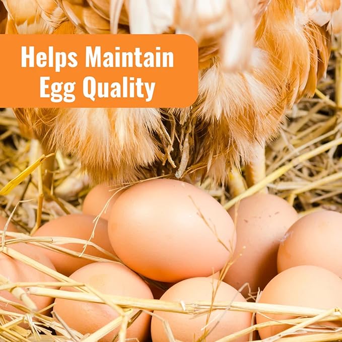 AquaBoost Probiotic + Electrolyte Powder for Chickens – Natural Hydration & Gut Support Supplemnet for Daily Wellness & Egg Production - Safe for All Flocks & Ages - USA (8 oz)