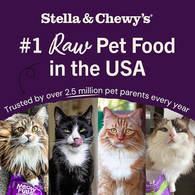 Stella & Chewy's Freeze-Dried Raw Cat Dinner Morsels - Premium Beef Recipe with 98% Grass-Fed Meat & Organs - Natural Grain-Free Cat & Kitten Food - Made in USA - 18 oz