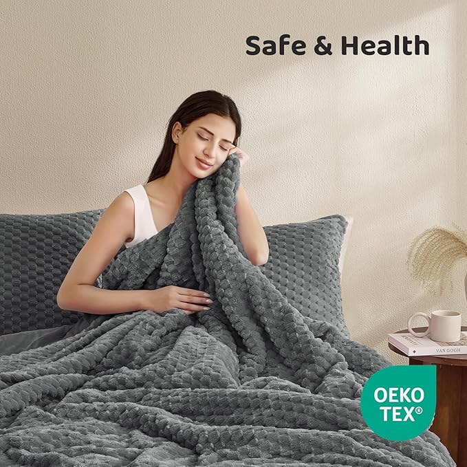 Petrichor Fluffy Twin Comforter Set - Ultra-Soft Gray Flannel Thick Comforter for Queen Bed, Luxury Warm Bedding Set for Winter & Fall, Cozy Fuzzy Bed Set 2 Pieces (1 Comforter & 1 Pillowcase)