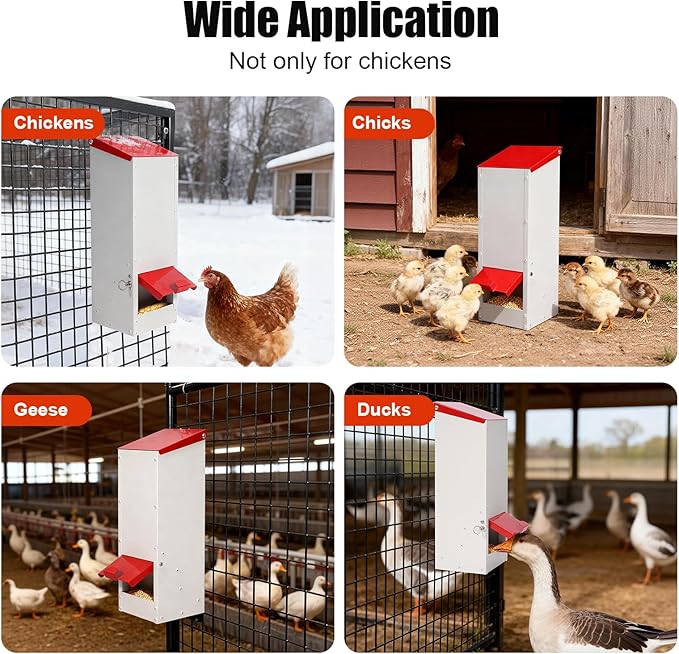 Metal Chicken Feeder No Waste Oyster Shell Feeder 8lbs Hanging Poultry Feeder Automatic Gravity Chicken Food Dispenser with a Lockable Rain Cover
