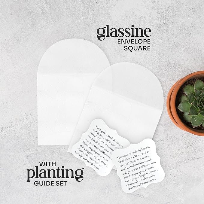 Wildflower Seed Paper - Set of 24 Purple Butterfly-Shaped with Envelope and Planting Instruction, Writable & Plantable Gift for Mom and Plant Lover, Ideal for Wedding, Memorial, Baby Shower