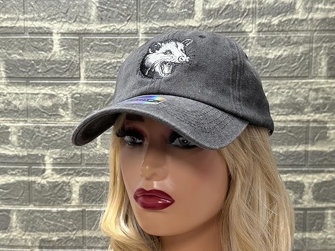 Embroidered Baseball Hats for Men and Women