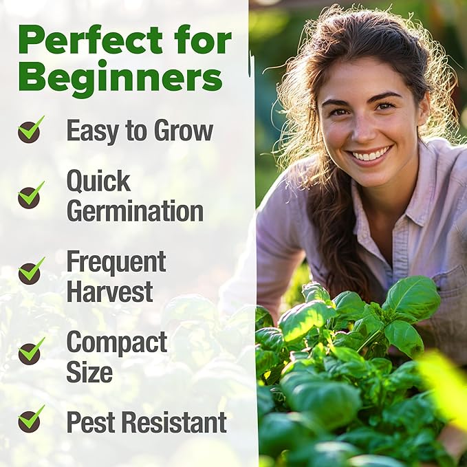 HOME GROWN Genovese Basil Seeds 2 Pack - 3500 Non GMO Heirloom Basil Seeds for Planting (Ocimum basilicum) - Herb Seeds for Indoor & Outdoor Gardening - Grow for Culinary Use