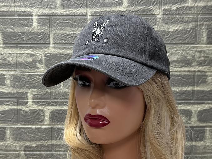 Embroidered Baseball Hats for Men and Women
