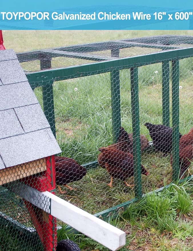 TOYPOPOR Chicken Wire 16'' x 600''(40cm x 15m), Outdoor Anti-Rust Hexagonal Galvanized Chicken Wire Mesh Fencing to Protect Gardening Plants Vegetables Flowers Fruits From Dogs Rabbits Squirrels, 49ft