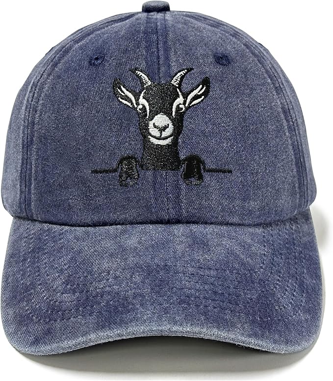 Embroidered Baseball Hats for Men and Women