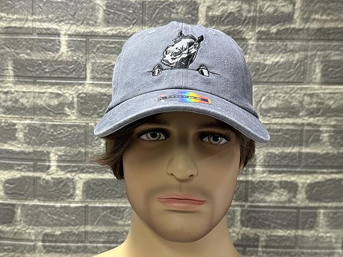 Embroidered Baseball Hats for Men and Women