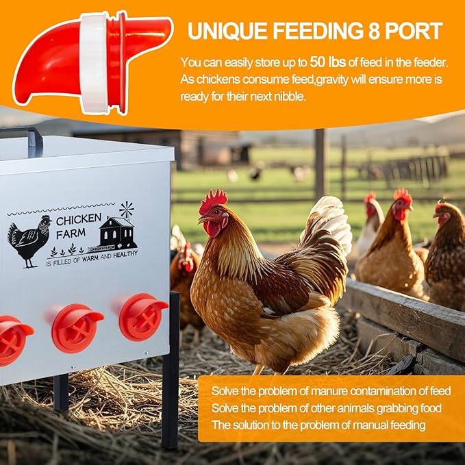 Automatic Chicken Feeder Box 50 lbs, 8 Feeding Ports, No Waste Poultry Feeder with Locking Lid and Adjustable Legs for Chickens, Ducks, Geese Galvanized Metal (50 Lbs-8 Ports)