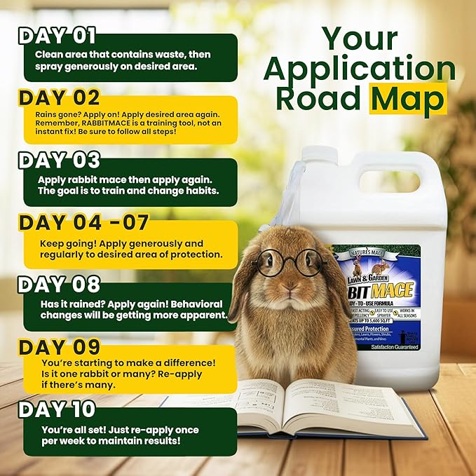 Nature’s Mace Rabbit MACE, Rabbit Deterrent for Yard, Rabbit Repellent Outdoor, Mint Scent Rabbit Spray, Garden, Lawn, Keep Rabbits Out, 1 Gallon Ready to Use, Safe Around People, Pets, Plants